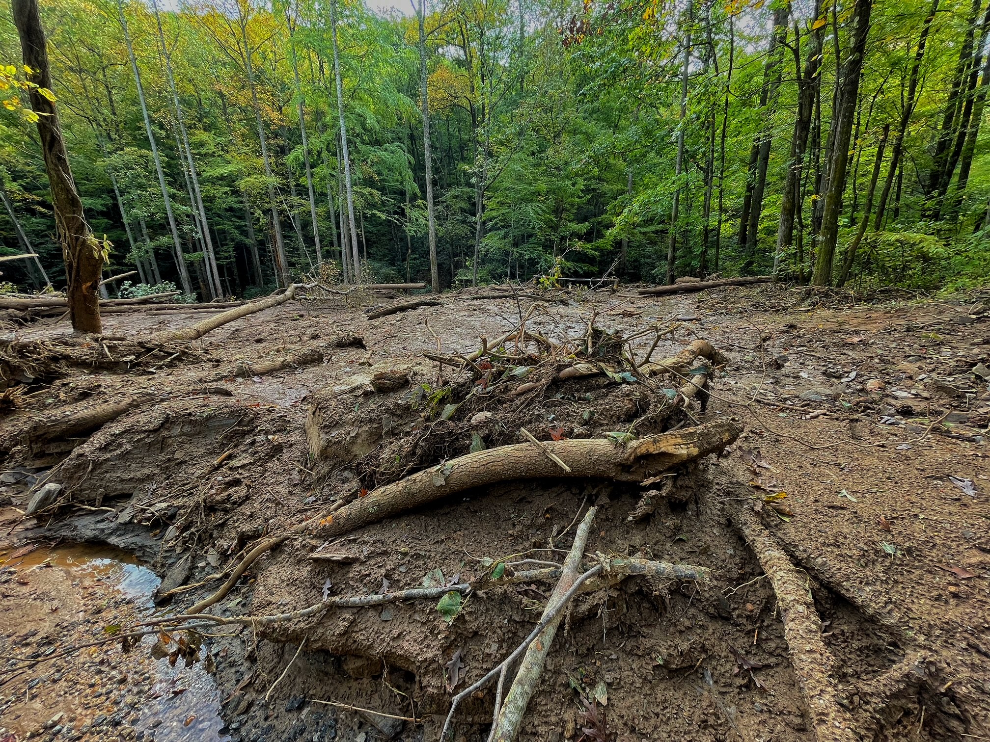 This is a small part of the road we used to evacuate from the B&B. 