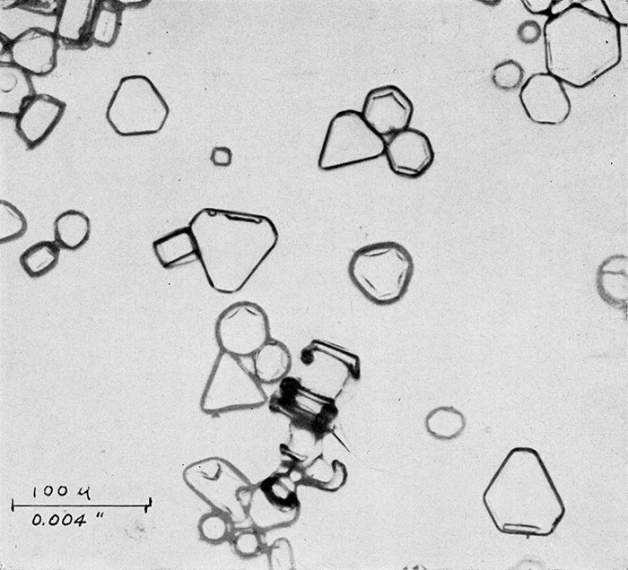 Black and white photo of ice crystals forming triangles and hexagons