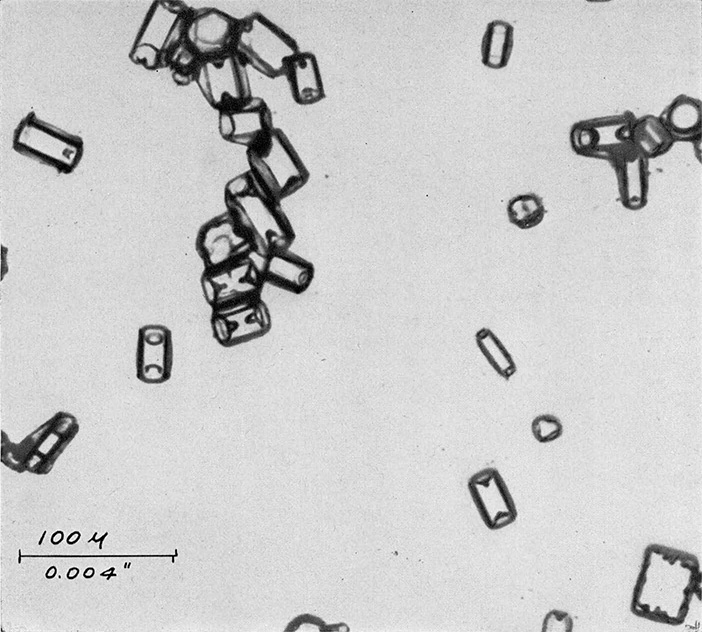 Black and white photo of ice crystals forming rectangles