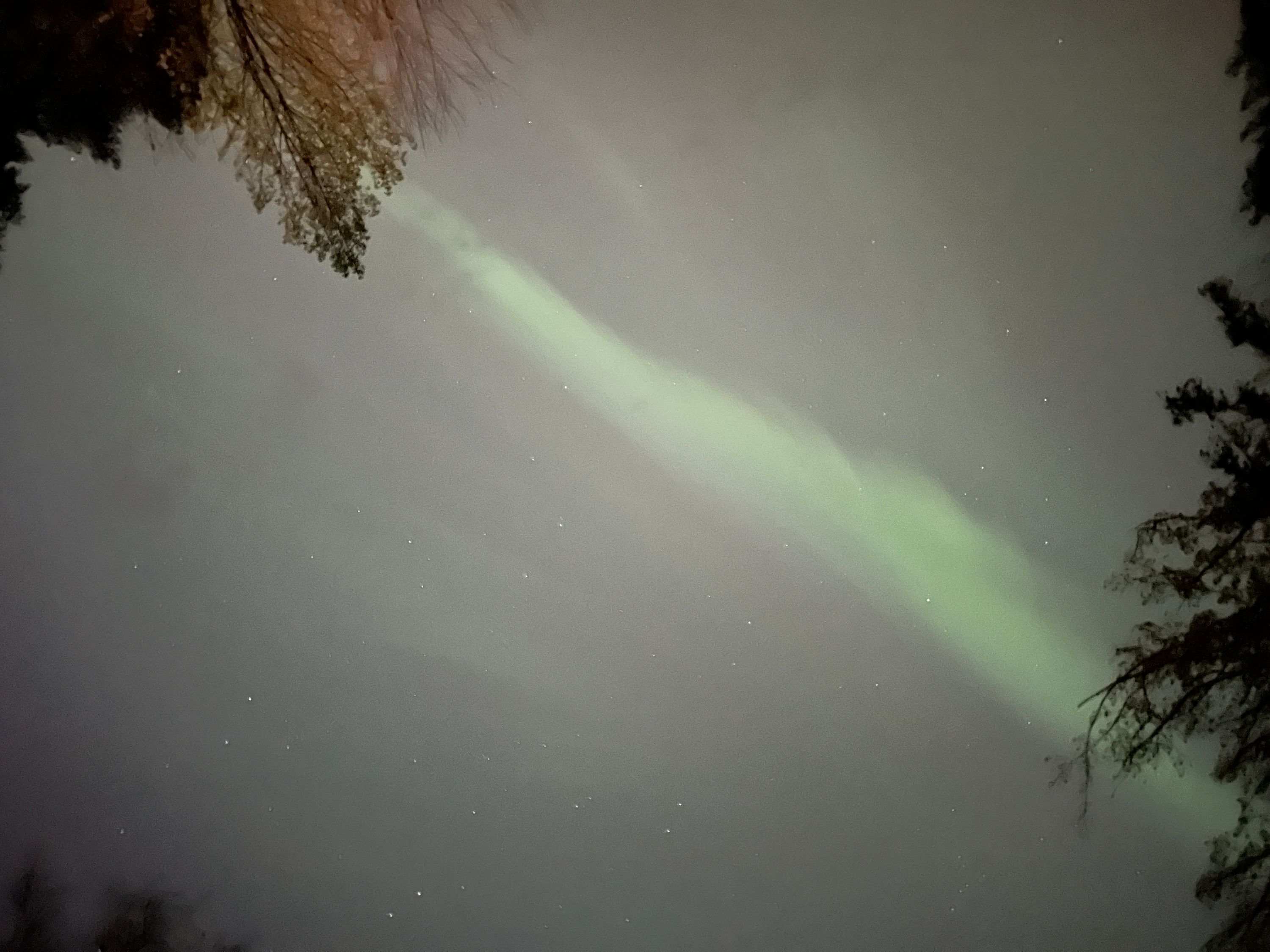 Also from May 10, 2004, this streak of pale green light looked like a whiteish cloud to the naked eye. This streak did move a lot and was my first clue that strong auroras were above me (this is pointing straight above). It was very exciting to see the green in the camera. You might also notice the white points as the stars that were visible through the light of the aurora.