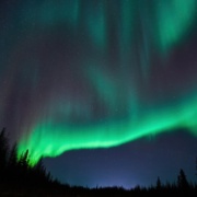 Northern Lights Above the Forest