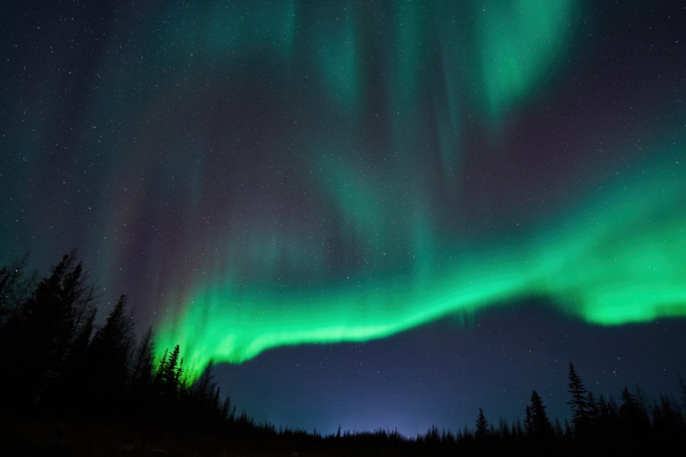 Northern Lights Above the Forest