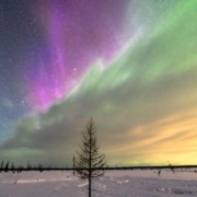 Siberian Aurora