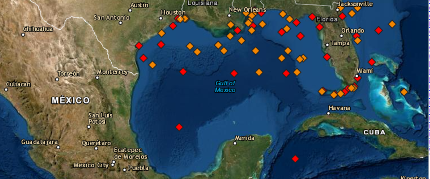 Buoy Observations During the 1993 "Storm of the Century"