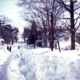 Webinar: Blizzards of 1978
