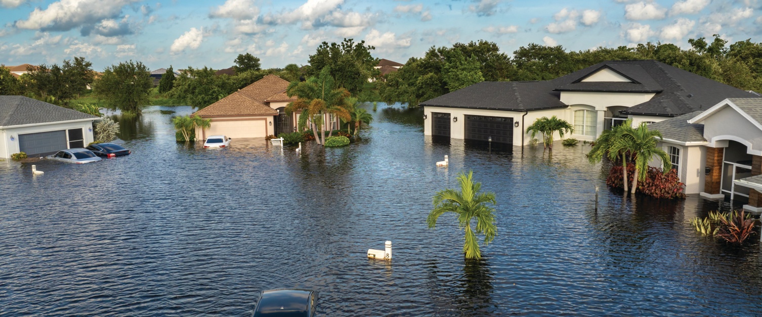 The Long-Term Toll of Hurricanes